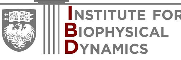 IBD_UChicago Profile Banner