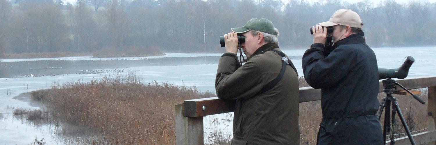 Birdinglondon's profile banner image