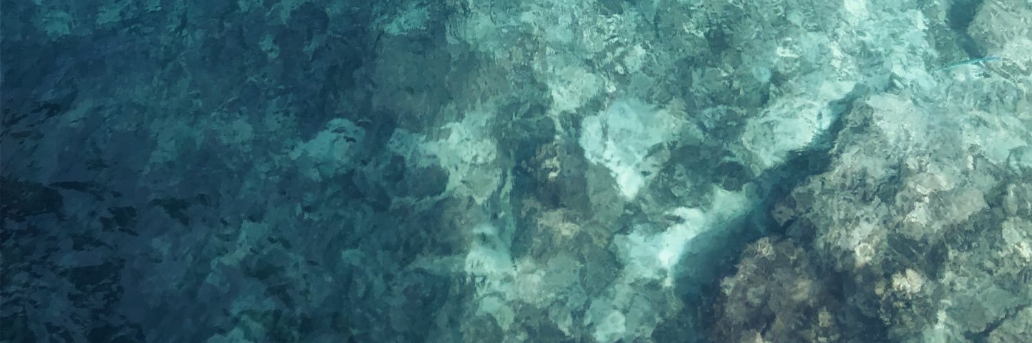 yaaritzamtz's profile banner image