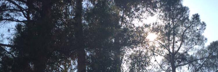 AkiraSmiith's profile banner image