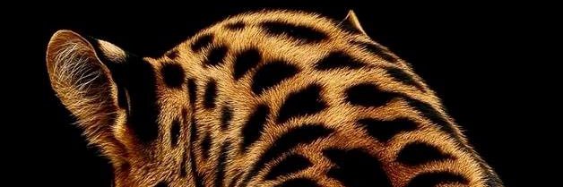 depleteFPS's profile banner image