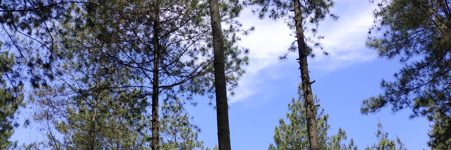 नैना banner