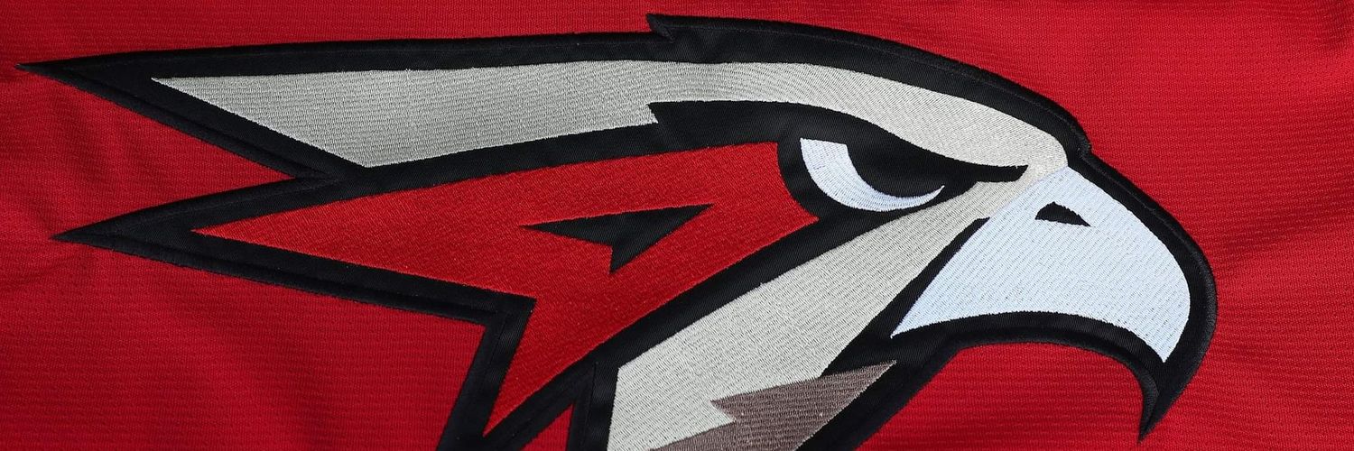 Hamilton Hawks banner