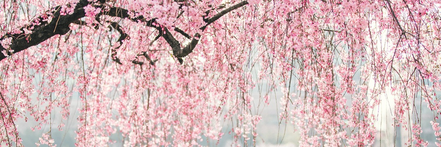 April🎀 banner