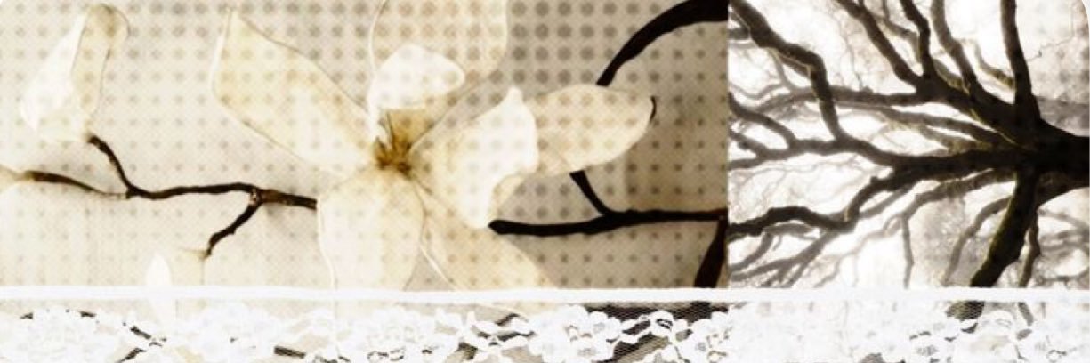 luxedalia's profile banner image