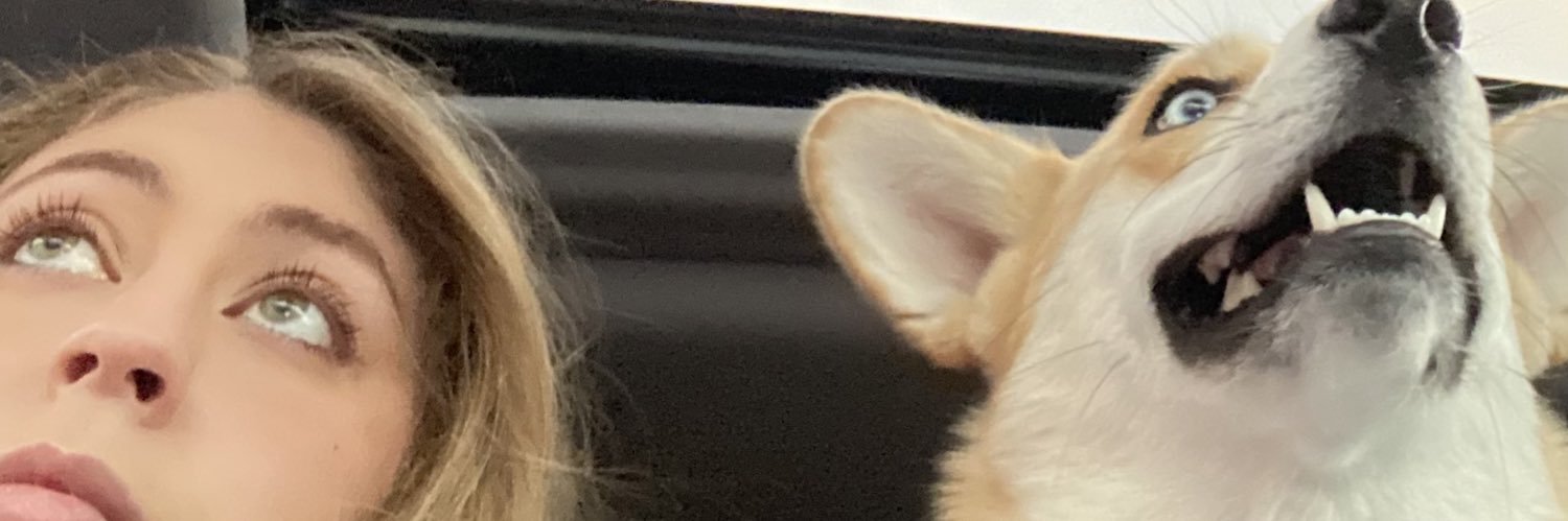 digitaltamara's profile banner image