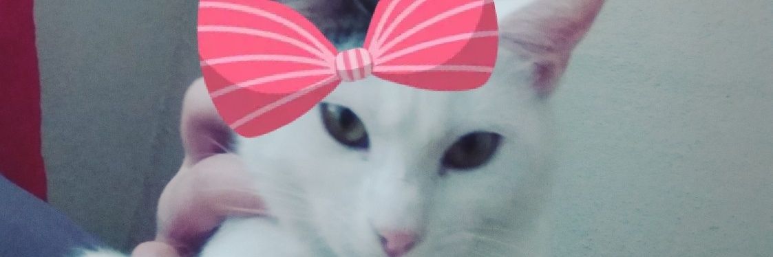 nazoonazoo's profile banner image