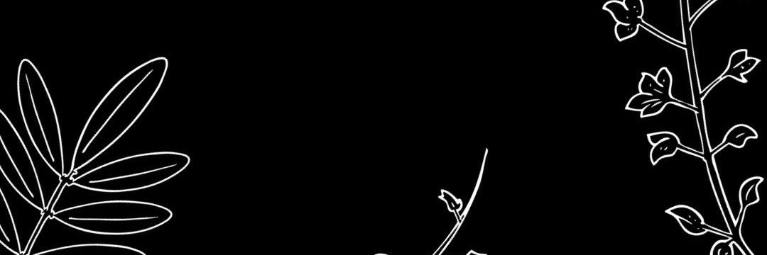 DarcyClau's profile banner image