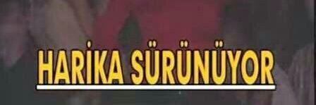 hzltncy's profile banner image