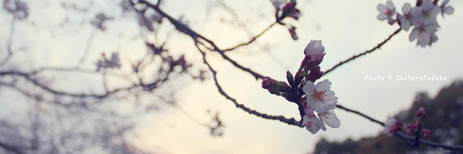 yuduka_s's profile banner image