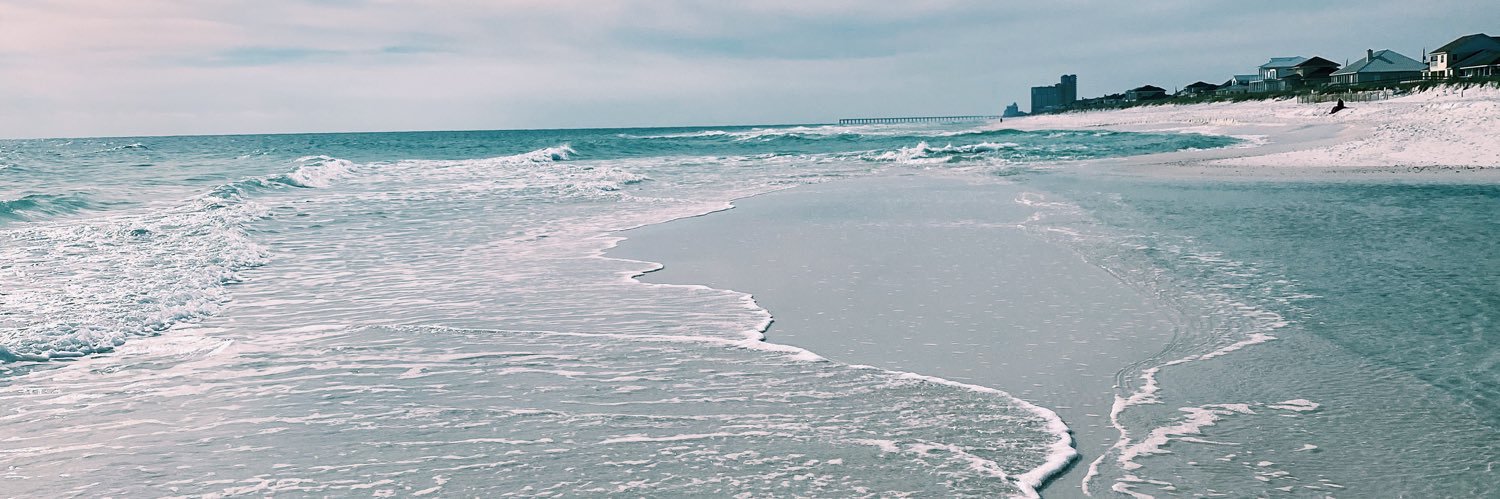 halesspavv's profile banner image