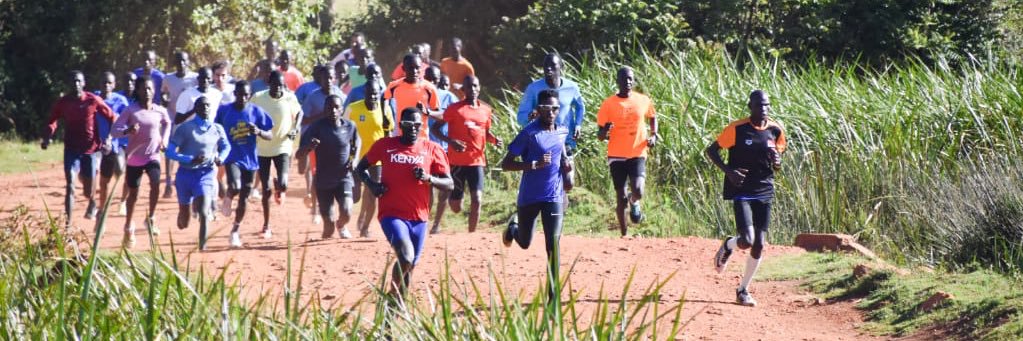 timolimo800's profile banner image