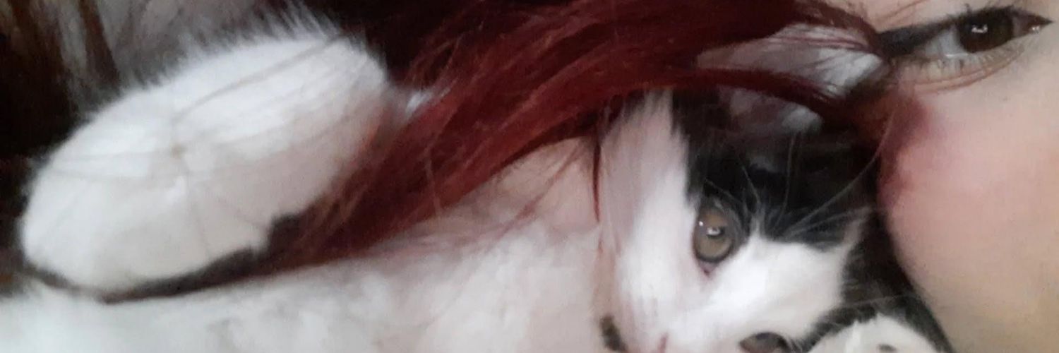 SadafMich's profile banner image