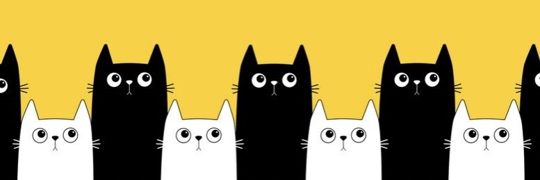 Rebecca Alves banner