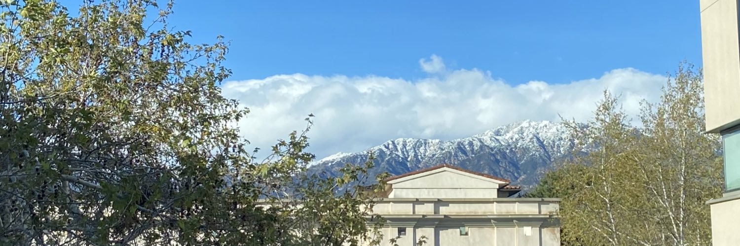 Camila Suarez banner