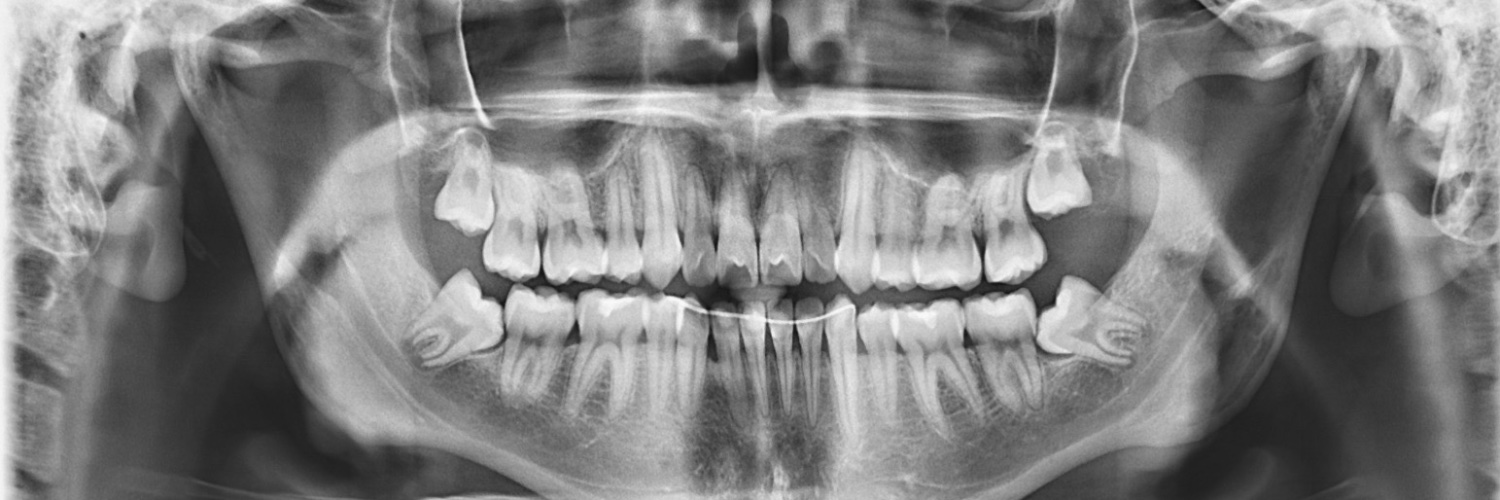 Augusto Zepeda 🇵🇸 banner