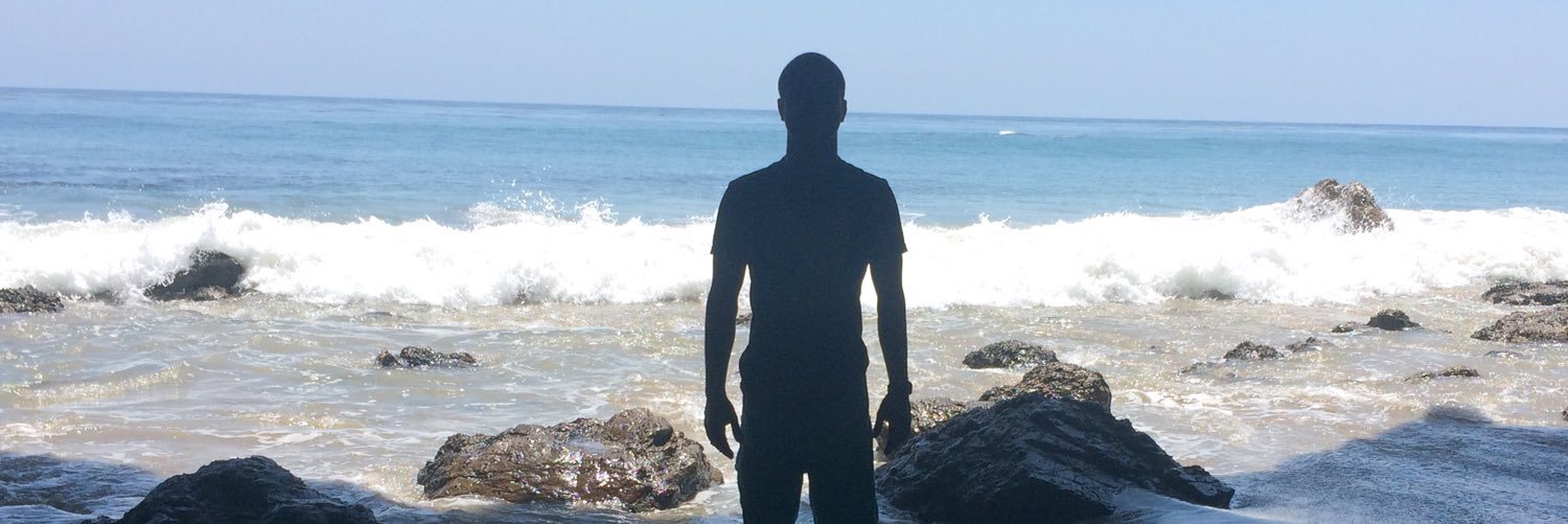 Hamid Gogerdchian banner