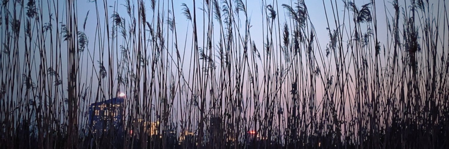 em_gillis's profile banner image