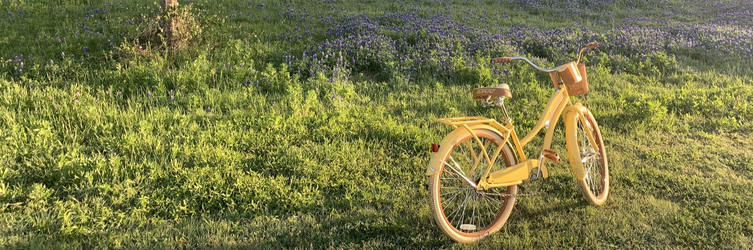 Johnna De Los Santos banner