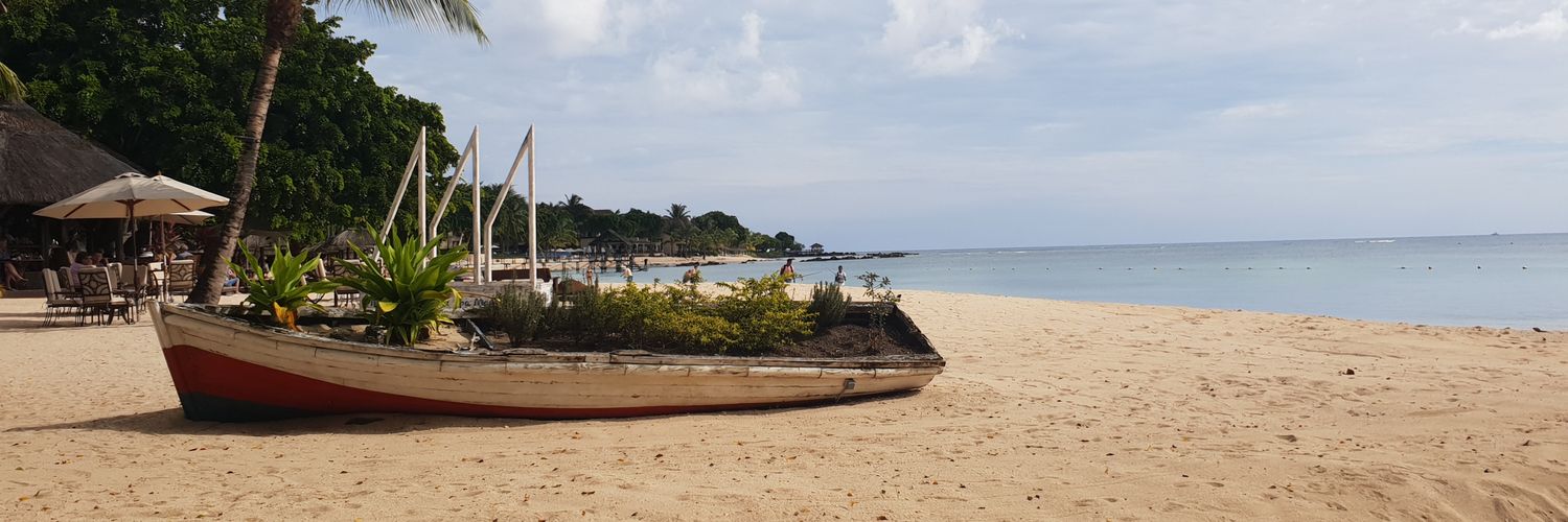 🏴󠁧󠁢󠁳󠁣󠁴󠁿 🇿🇦 The Social Observer 🦄 banner