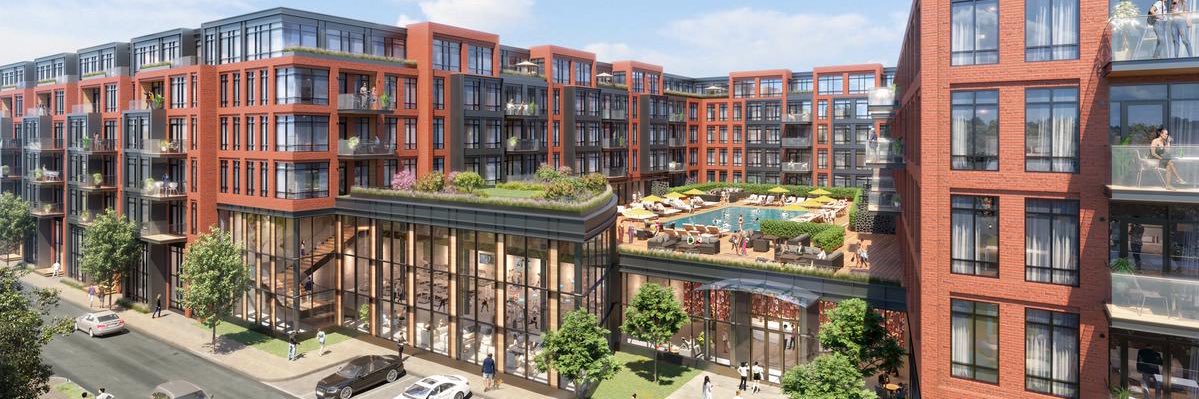 Development Dawg banner