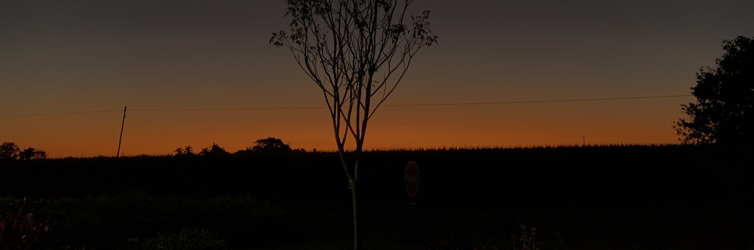 voidpsilord's profile banner image