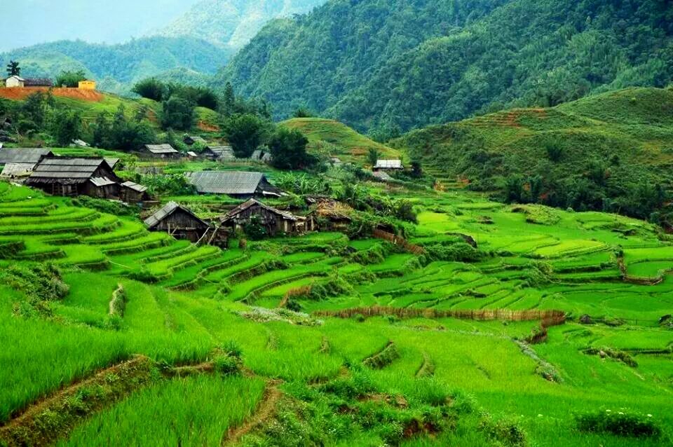 Agung Prasetyo banner