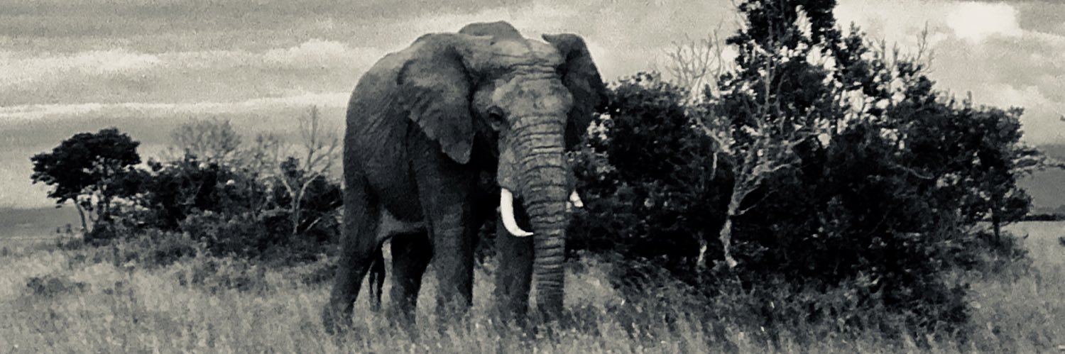 J_Helberg's profile banner image
