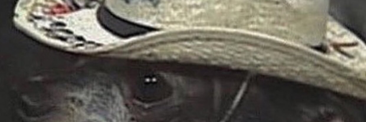 seqoyahthetree's profile banner image