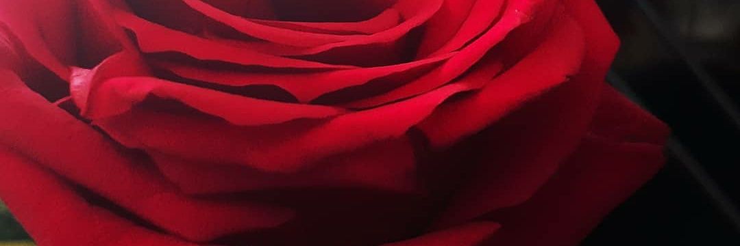 Mashablebuttons's profile banner image