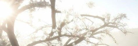 yetilos's profile banner image