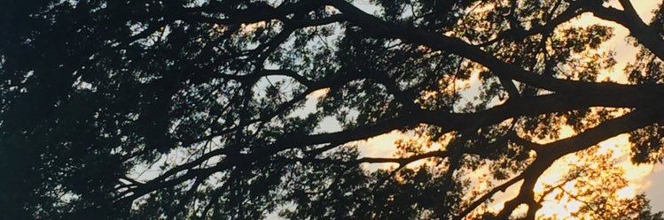 GameXantho's profile banner image