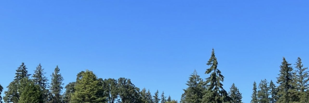 ericcmooree's profile banner image