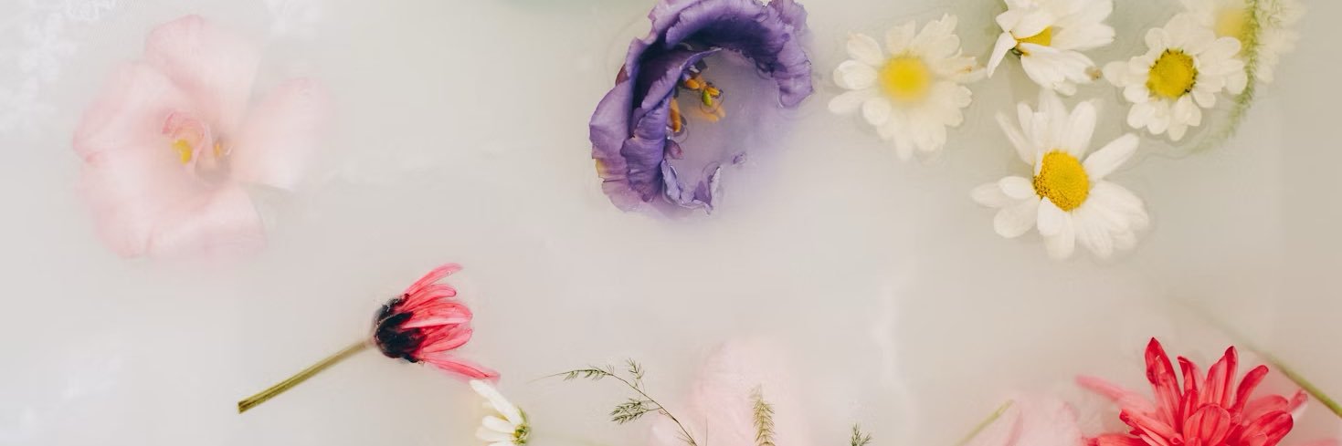 SianaghG's profile banner image
