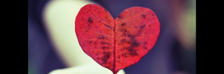 MlamboTawe's profile banner image