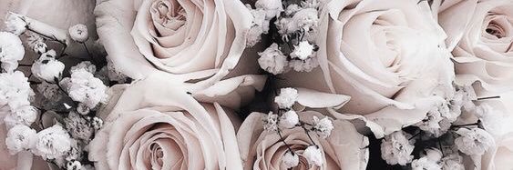 arizzavee's profile banner image