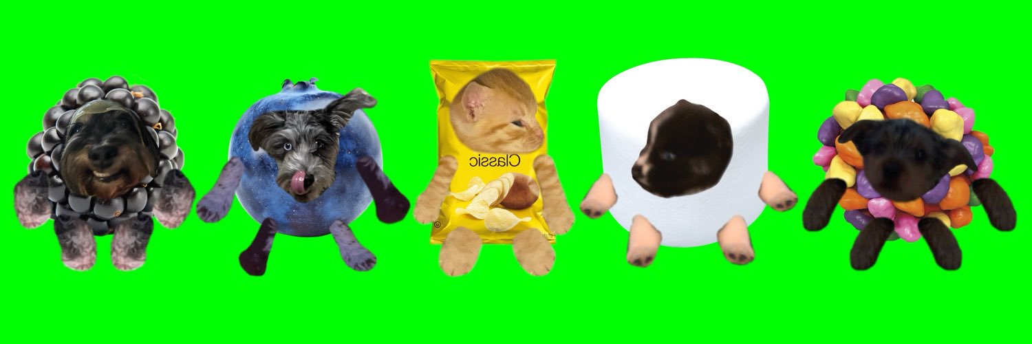 TheHeroHusky's profile banner image