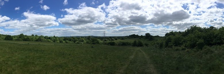 Amanda S-Main banner