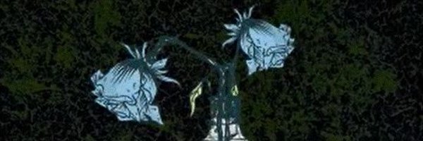 DancinginJeru Profile Banner