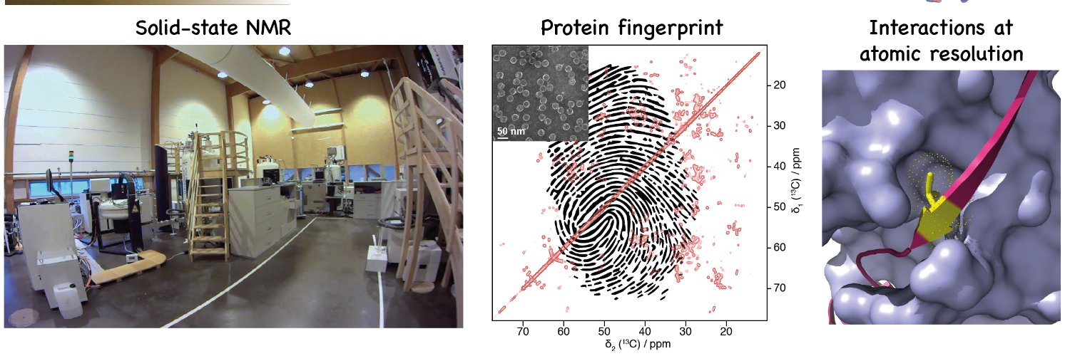 Anja Böckmann's lab banner