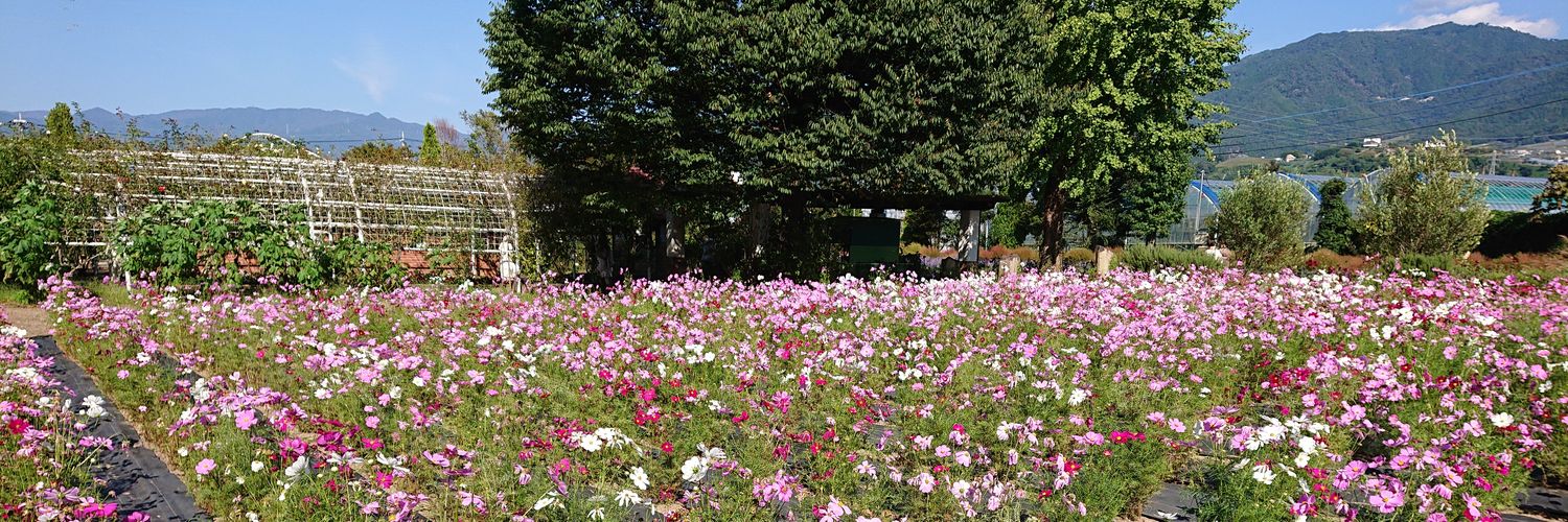 T.A.D. (talk about dreams) banner