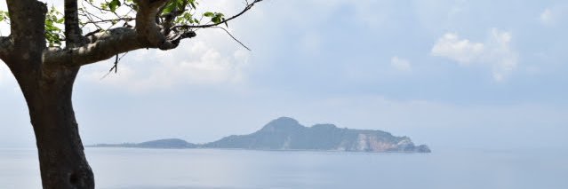 starry starry night banner