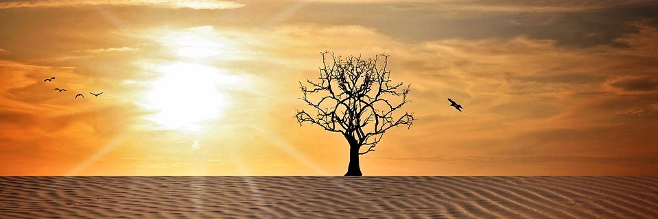 Here we go again. banner