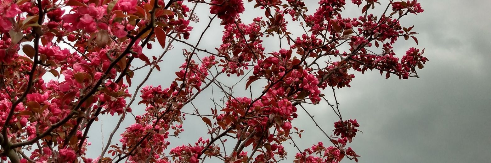 EleanorKendall's profile banner image