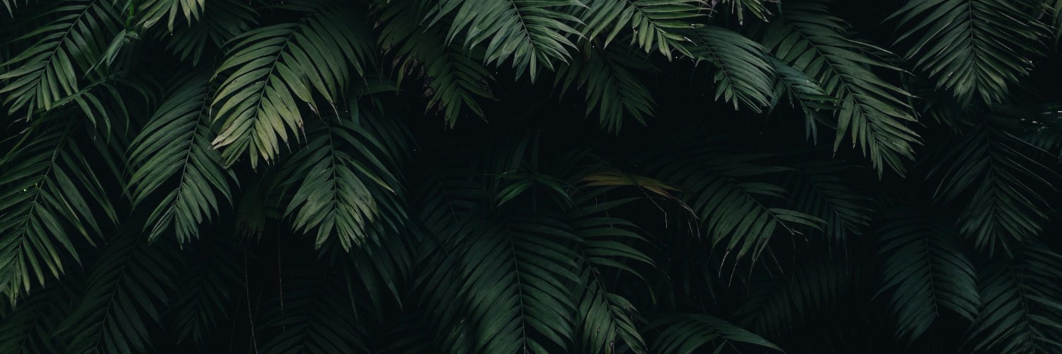 Jamie Lottering banner