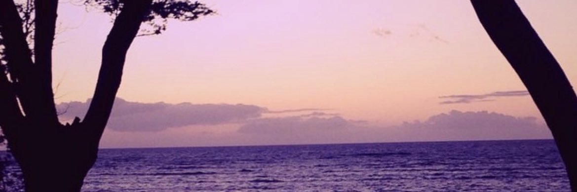 travenjace_'s profile banner image