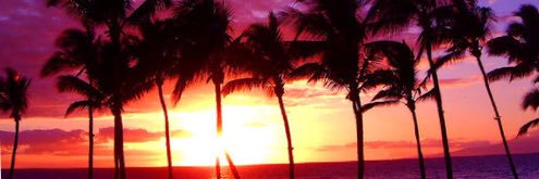 sunden4's profile banner image