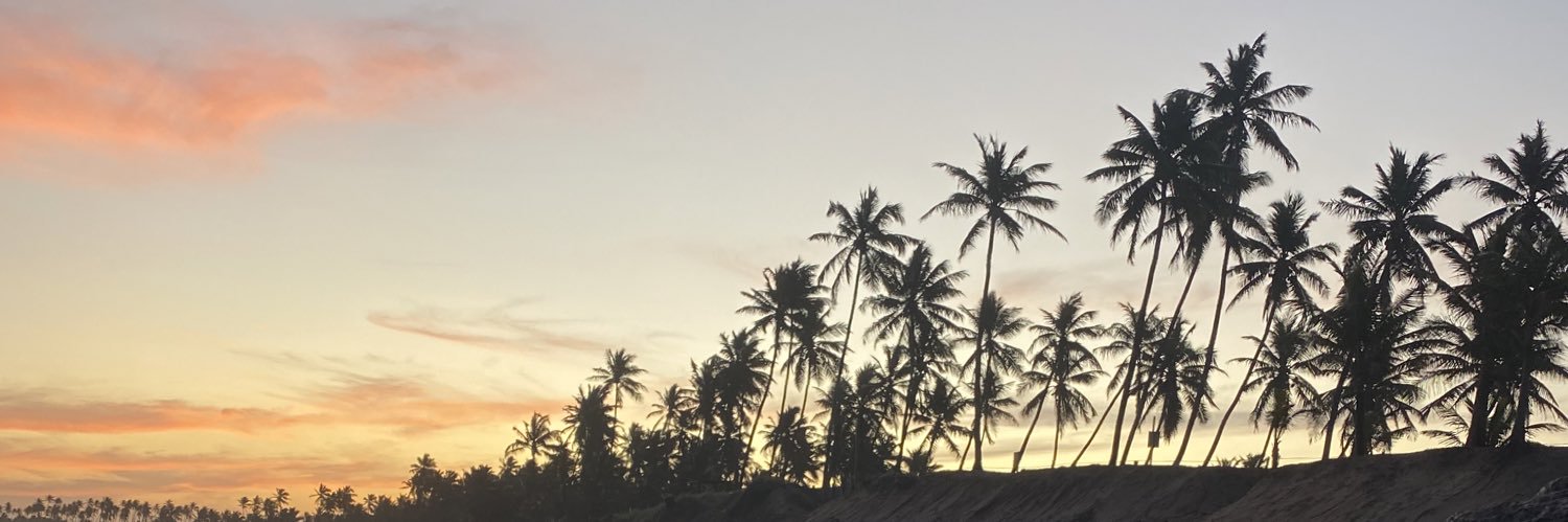 mjfassina's profile banner image