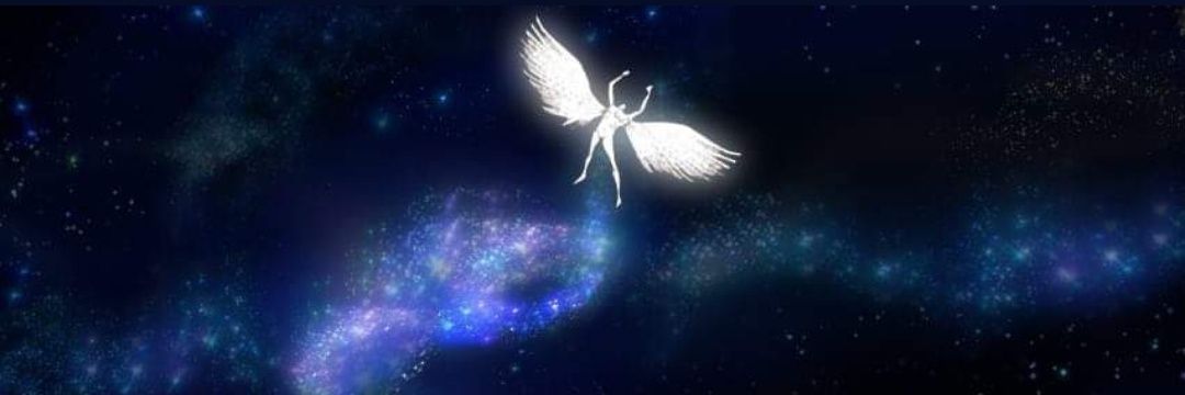 TC_Donkishot's profile banner image