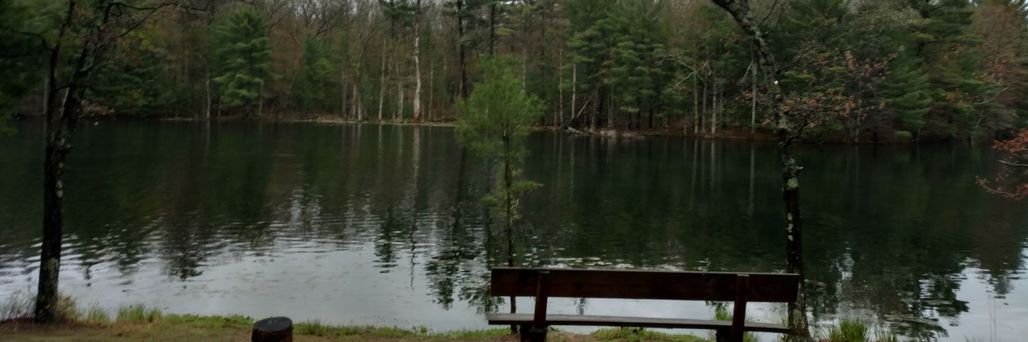 PamelaDrakeCPA's profile banner image